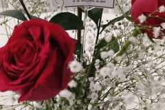 WhatsApp-Image-2025-11-15-at-1.36.34-AM-1